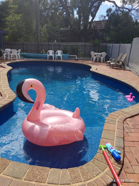 Coachman Motel And Holiday Units - Taree Accommodation 7