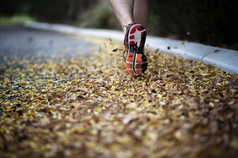 Yarra Valley Lodge - Taree Accommodation 1
