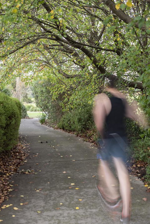 Yarra Valley Lodge - Taree Accommodation 3
