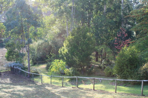 Strathmore Farm B&B - Taree Accommodation 28