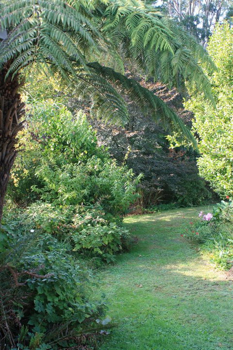 Strathmore Farm B&B - Taree Accommodation 21