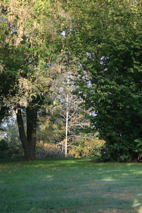 Strathmore Farm B&B - Taree Accommodation 26