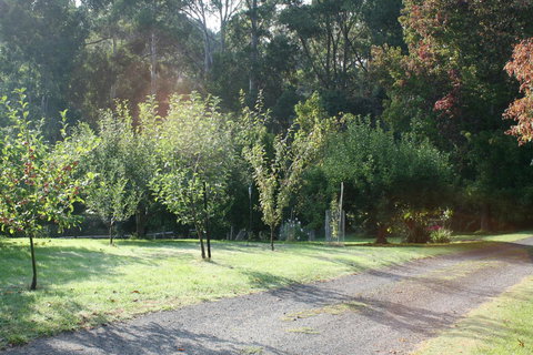 Strathmore Farm B&B - Taree Accommodation 33