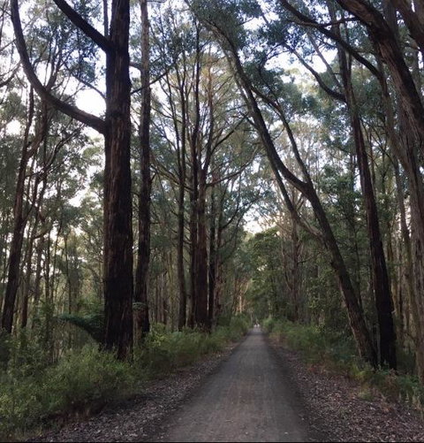 Strathmore Farm B&B - Taree Accommodation 4