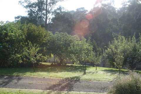 Strathmore Farm B&B - Taree Accommodation 19