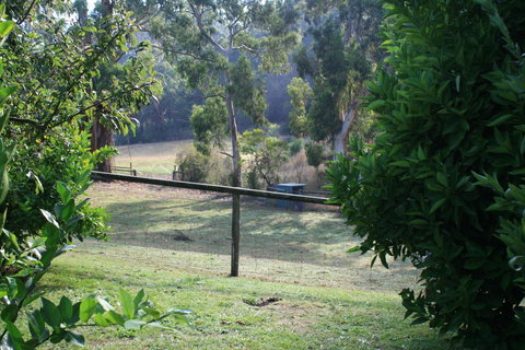 Strathmore Farm B&B - Taree Accommodation 30