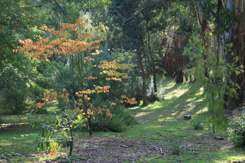 Strathmore Farm B&B - Taree Accommodation 25
