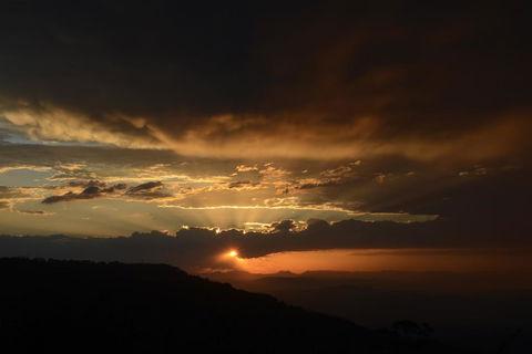 The Bird House - Taree Accommodation 1
