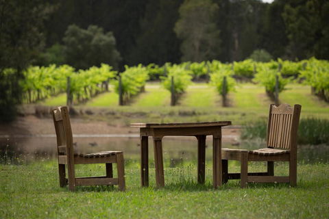 The Carriages Boutique Hotel And Vineyard - Taree Accommodation 2