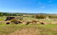 The Daydawn Dairy - Perched High, Simple Living & What A View! - thumb 1
