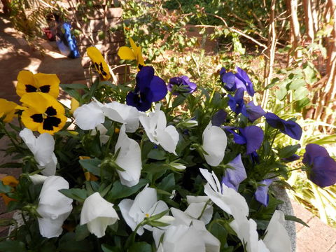 The Hideaway Luxury B&B Retreat - Taree Accommodation 1