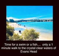 The Lazy Llama - Taree Accommodation