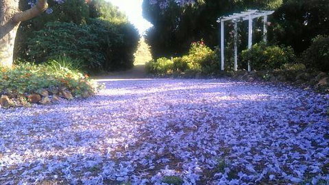 The Old Church Bed And Breakfast - Taree Accommodation 2