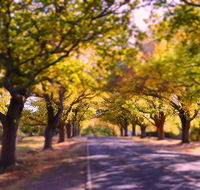 The Shelter Shed Garden Studio Apartment
