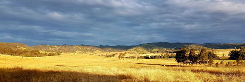 The Wattle Lodge - Taree Accommodation 1