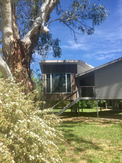 Treehouse Retreat - Taree Accommodation 3