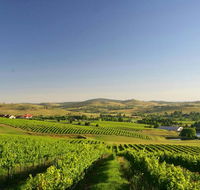 Turners Vineyard Motel - Taree Accommodation