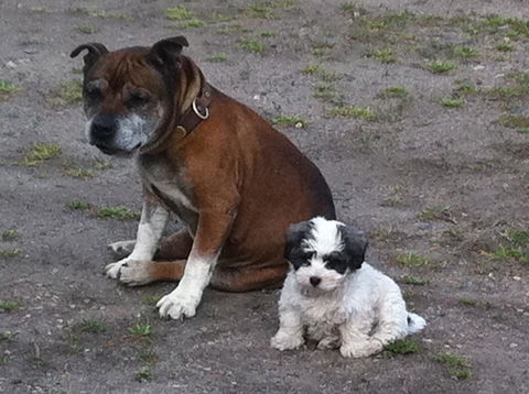 Walcha Royal Cafe & Accommodation - Taree Accommodation 3