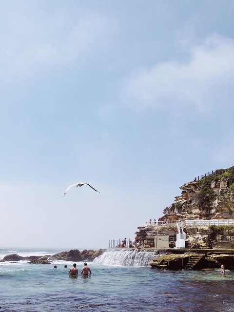 Walk To Beach From This Stylish Bronte Oasis W AC, Wifi And Free Parking - Taree Accommodation 3