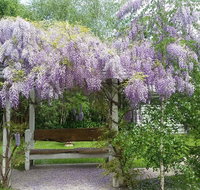 Amelina Cottages - Taree Accommodation