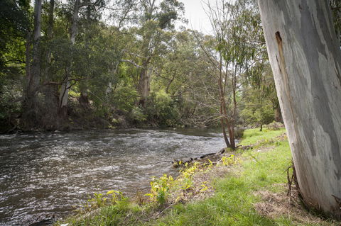 Oscar\'s On The Yarra - Taree Accommodation 23