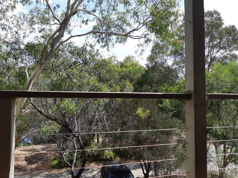 Elevated Holiday House Overlooks Tranquil Wetlands - Taree Accommodation 10
