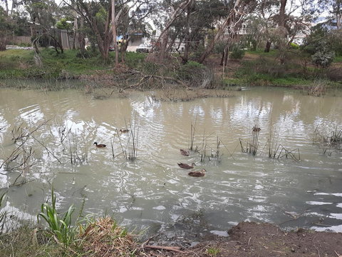 Elevated Holiday House Overlooks Tranquil Wetlands - Taree Accommodation 12