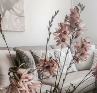 Bed of Roses - Taree Accommodation