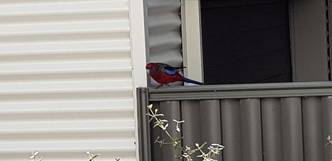 Torquay Timeout - Taree Accommodation 15