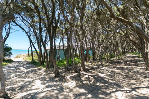 Perfect Blairgowrie Beach House - Taree Accommodation 17