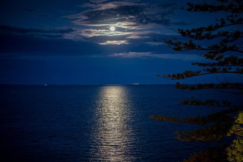 The Sebel Brisbane Margate Beach - Taree Accommodation 10