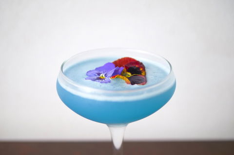 The Sebel Brisbane Margate Beach - Taree Accommodation 18