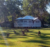 Lake Weyba Noosa Lodge  Kangaroos - Taree Accommodation