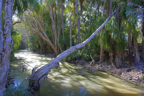 Sandcastles 1770 Motel & Resort - Taree Accommodation 18