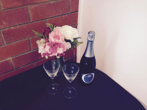 XYL Pets Friendly Seaside Boutique Guesthouse - Taree Accommodation 26