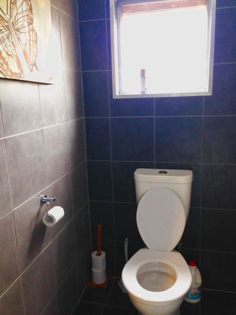 XYL Pets Friendly Seaside Boutique Guesthouse - Taree Accommodation 5