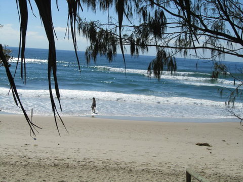 Le Beach Apartments - Taree Accommodation 16