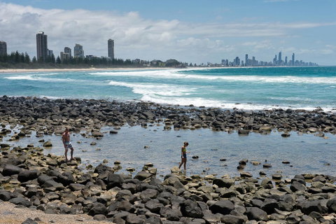 Oceania On Burleigh Beach - Taree Accommodation 42