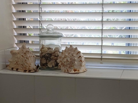 Oceania On Burleigh Beach - Taree Accommodation 14