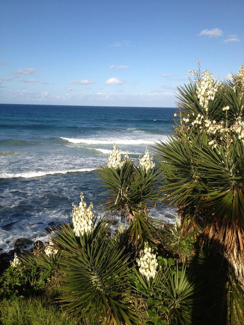 Oceania On Burleigh Beach - Taree Accommodation 23