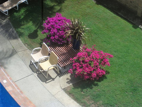 Oceania On Burleigh Beach - Taree Accommodation 29