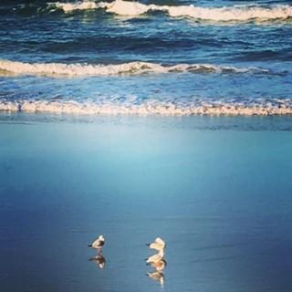 Oceania On Burleigh Beach - Taree Accommodation 40