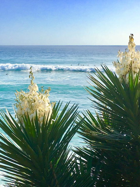 Oceania On Burleigh Beach - Taree Accommodation 21