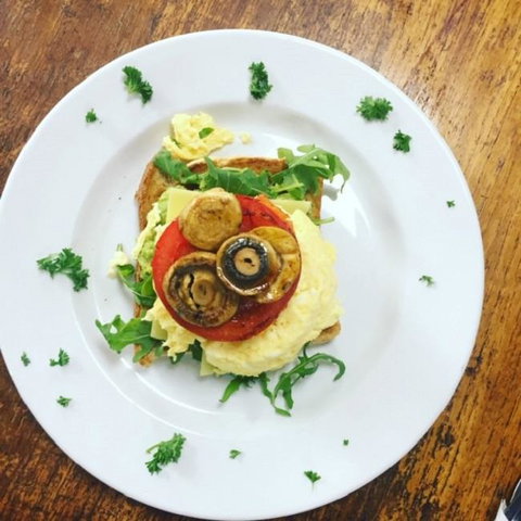 Essence Suites Taringa - Taree Accommodation 28