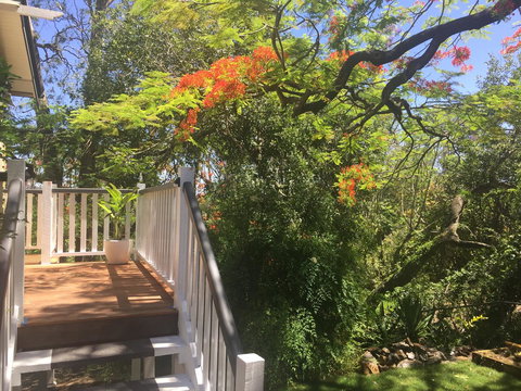 Halcyon On Bardon - Taree Accommodation 7