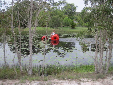 1770 Southern Cross Travellers Retreat - Taree Accommodation 16