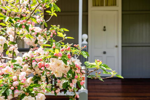 Apple Blossom Cottages - Taree Accommodation 2