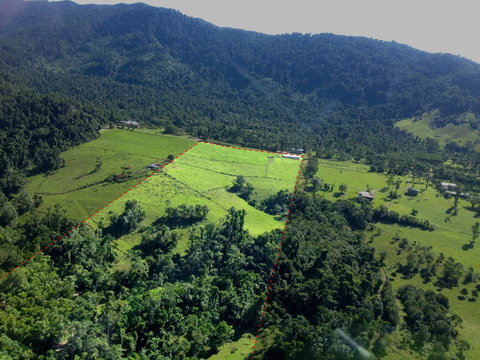 Misty Mountains Rainforest Retreat - Taree Accommodation 33