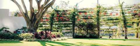 Vine Apartments South Brisbane - Taree Accommodation 19