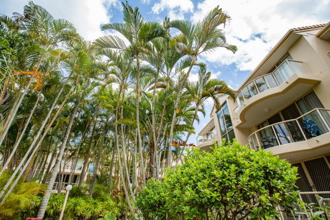 Miami Beachside Holiday Apartments - Taree Accommodation 7